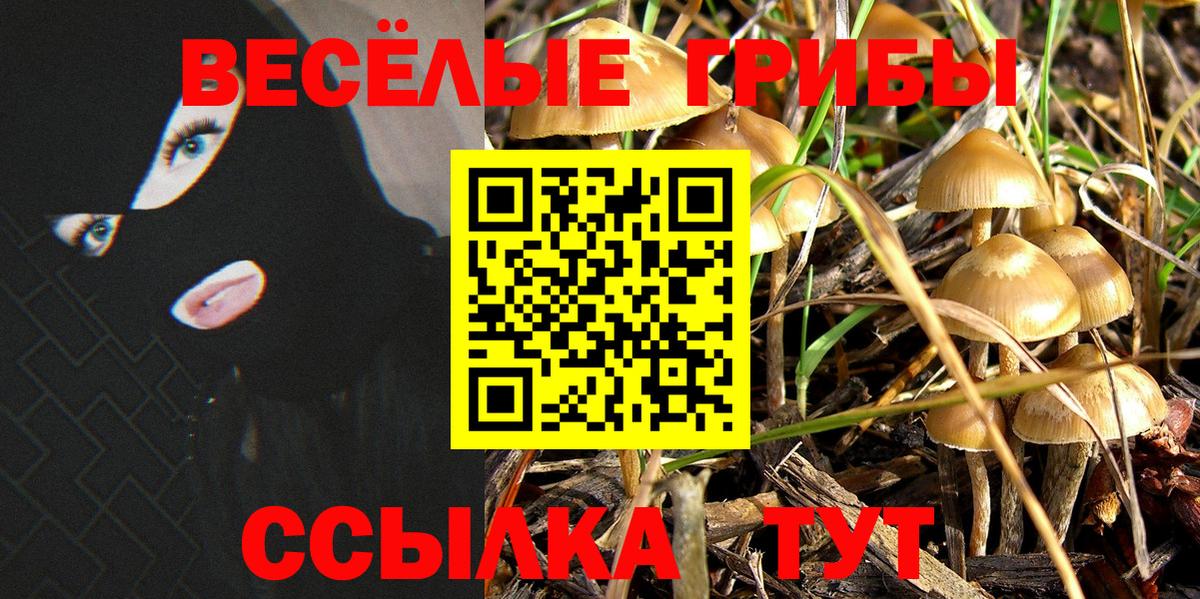 Псилоцибиновые грибы мицелий Тихорецк