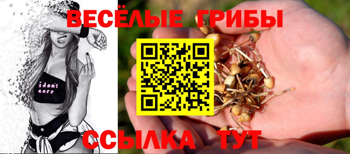 Тихорецк  где купить   Вход с VPN  Псилоцибиновые грибы Cubensis 